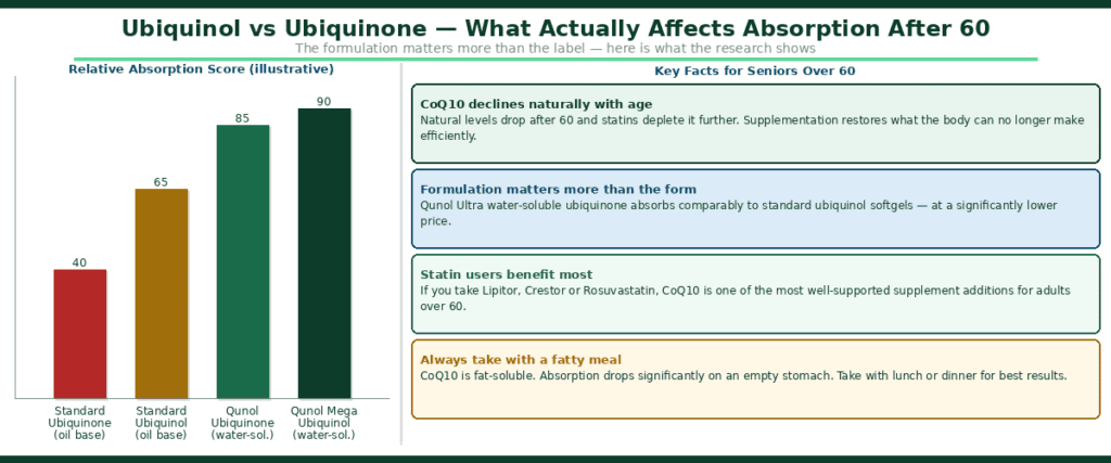Ubiquinol vs CoQ10 for seniors Bar chart comparing absorption scores of standard ubiquinone, standard ubiquinol, Qunol water-soluble ubiquinone and Qunol Mega ubiquinol for seniors over 60, with key facts about CoQ10 decline and statin depletion
