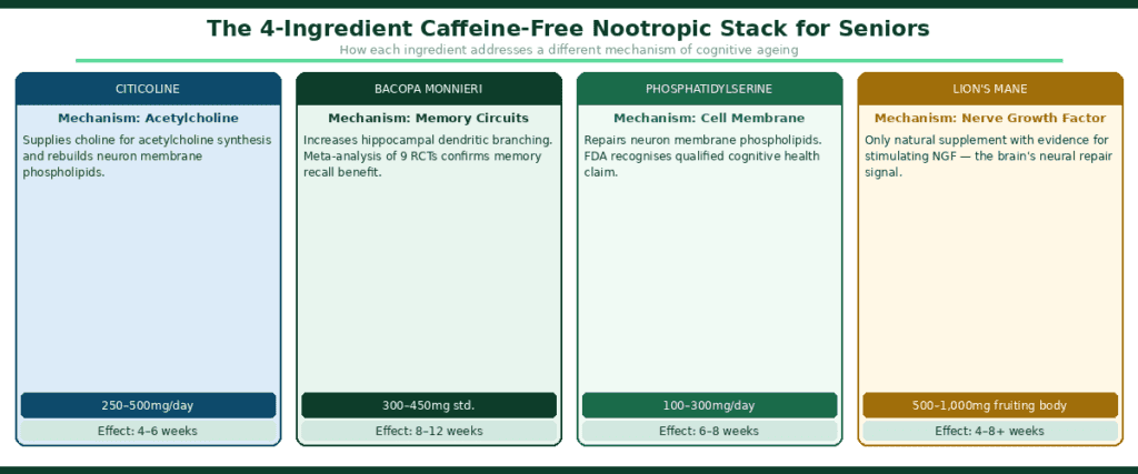 best nootropic stack seniors focus without caffeine - Four-column diagram showing the caffeine-free nootropic stack for seniors — citicoline targeting acetylcholine mechanism, bacopa monnieri targeting memory circuits, phosphatidylserine targeting cell membrane repair, and lion's mane targeting nerve growth factor production, with doses and time to effect for each