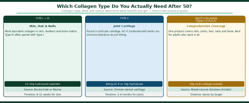 Three-column diagram showing collagen types for adults over 50 — Type I and III hydrolyzed peptides for skin hair and nails at 10–20g daily from bovine or marine sources, Type II undenatured UC-II for joint cartilage at 40mg daily from chicken sternal cartilage, and multi-collagen Types I through X for comprehensive coverage at 20g daily