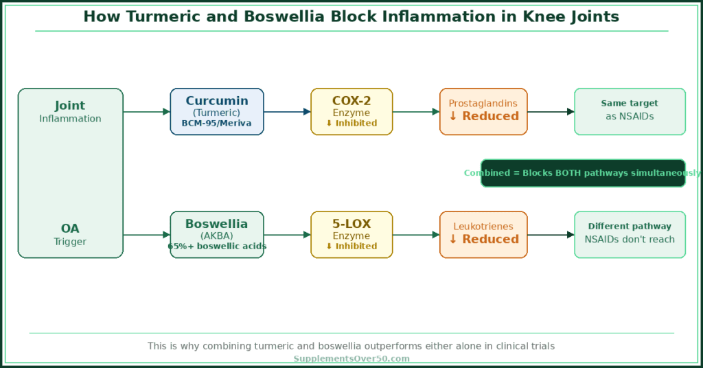 Turmeric and boswellia anti-inflammatory mechanism diagram showing COX-2 and 5-LOX pathways for knee osteoarthritis
