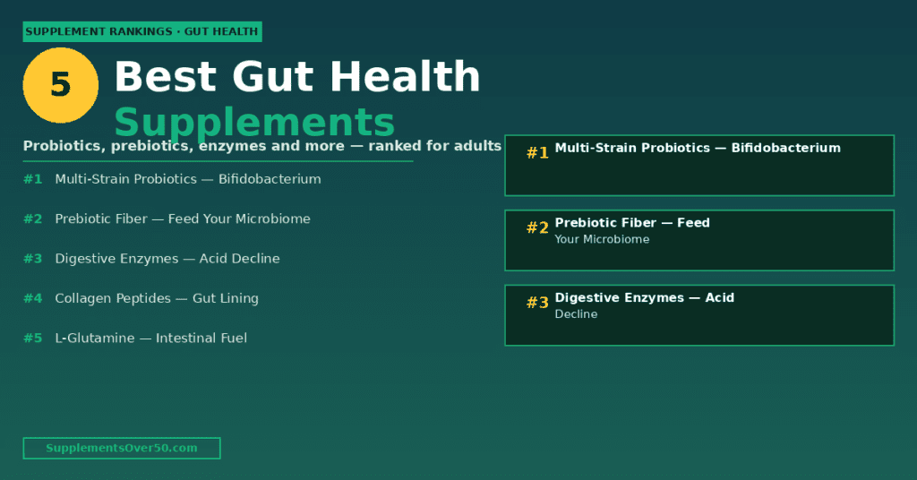 Best Gut Health Supplements for Seniors