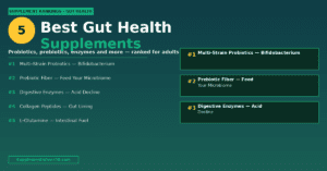 5 Best Gut Health Supplements for Seniors — Probiotics, Prebiotics and More (2026) Best Gut Health Supplements for Seniors