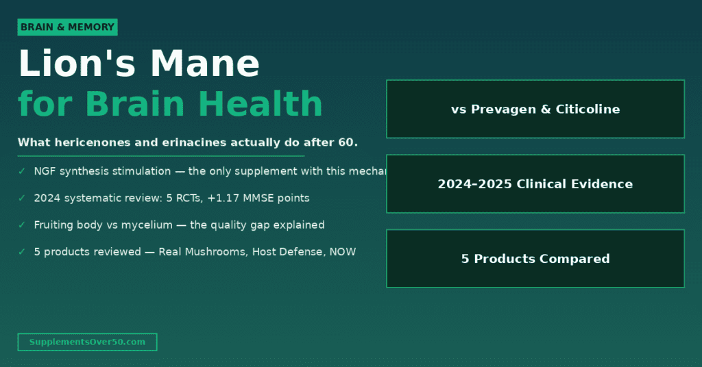 Lion's Mane Mushroom for Cognitive Health After 60 (2026)