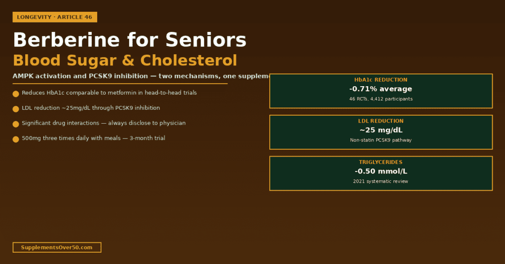 Berberine Supplement for Seniors